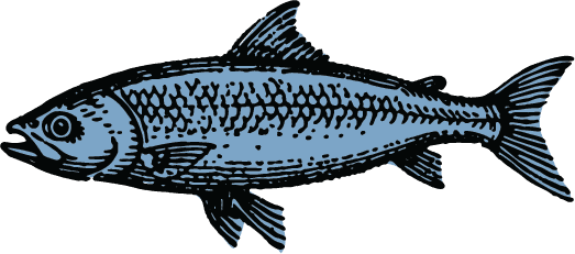 The Real Fishwives of Paris — Home